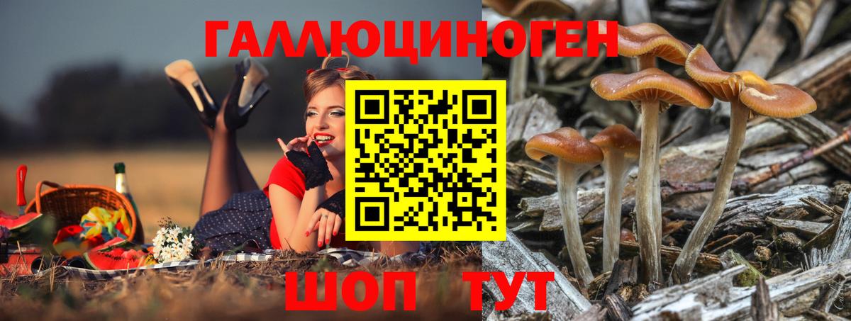 Галлюциногенные грибы Cubensis  Галлюциногенные грибы мухоморы  Асино  Вход с VPN 