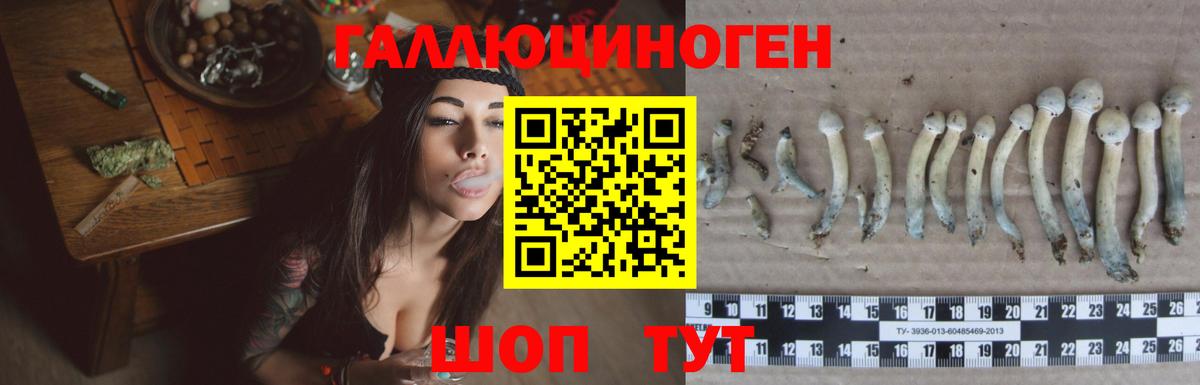 Галлюциногенные грибы мицелий Асино